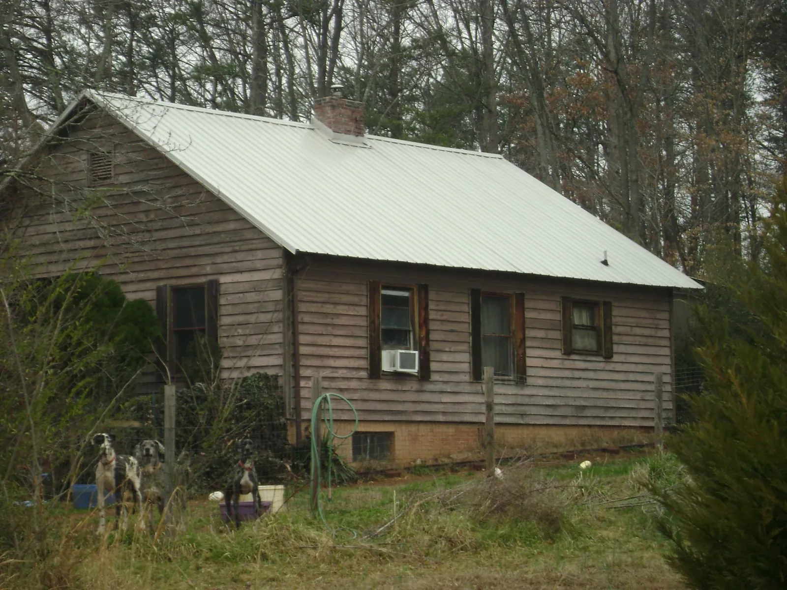 White metal roof on an old wood sided farmhouse, from a Asphalt Shingle Roof Repair job in Cambridge Springs